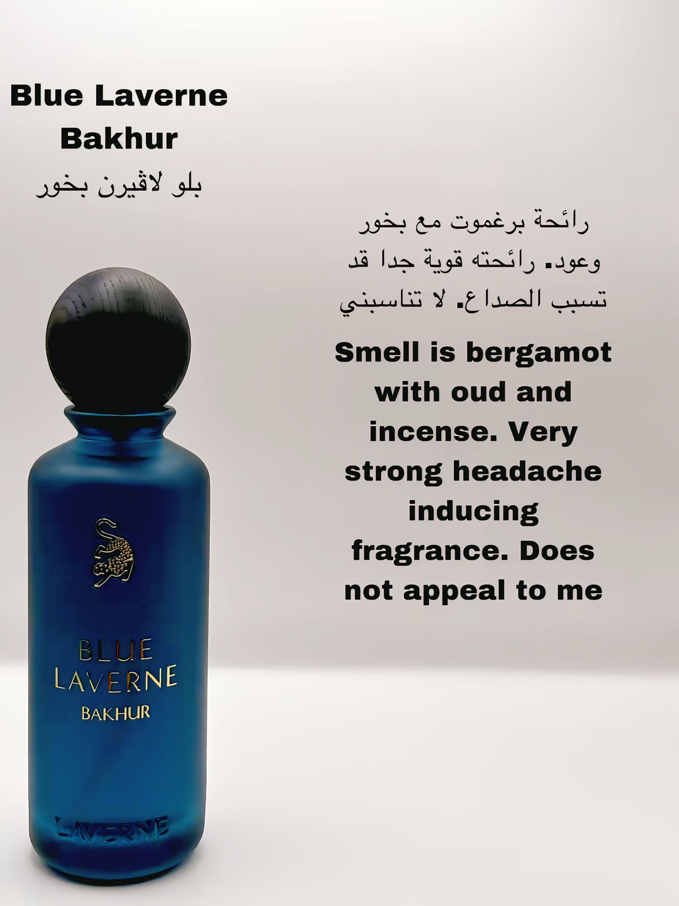 BLUE LAVERNE PERFUME 💙 عطر بلو لافيرن